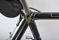 Detail of seat cluster showing brush work and rear cable hanger