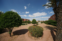 Gardens In Suburban Marrakech