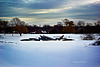 Canoes In The Snow