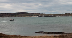 The MV Loch Buie heads across to Iona