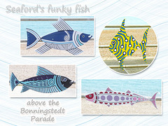 Seaford's funky fish 12 7 2017