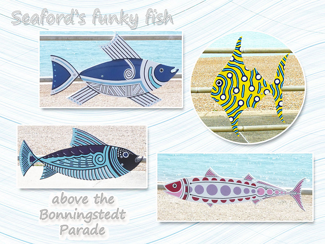 Seaford's funky fish 12 7 2017