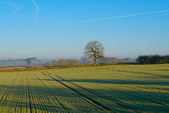 Misty and frosty start to the day