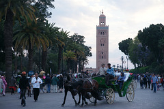 Calache In Front Of The Koutoubia Mosque