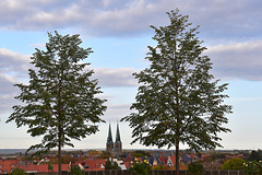 Blick auf Quedlinburg