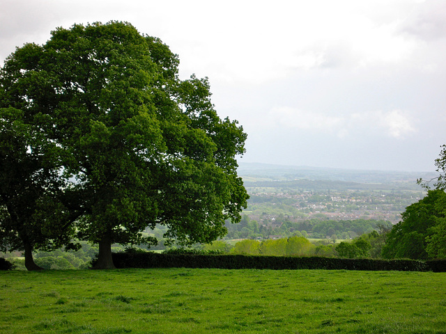 Looking over Kidderminster from near Trimpley Farm