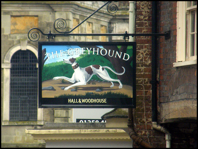 Greyhound pub sign