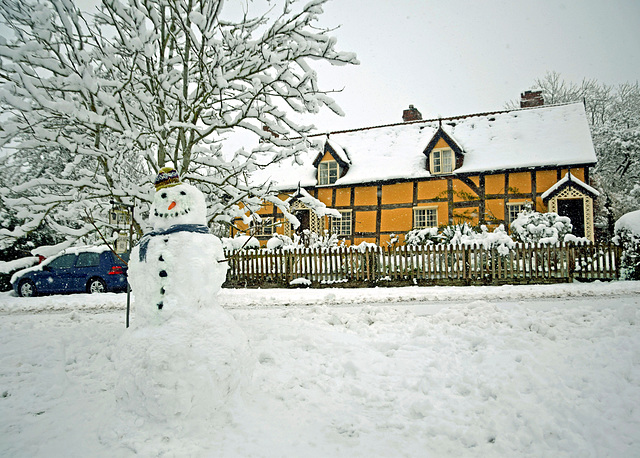Bunn's Croft and Snowman