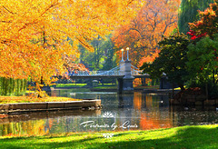 Fall Season Boston Common
