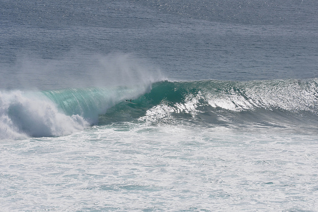 Bali Wave