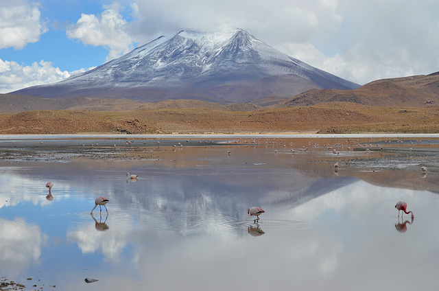 Bolivian Altiplano, Laguna Hedionda (4121m) and Cerro Ararál (5688m)