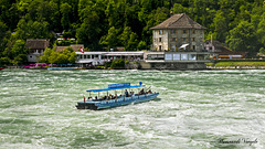 Rheinfall Boot vor dem Schlössli Wörth  am Rheinfall bei Neuhausen Kt Schaffhausen