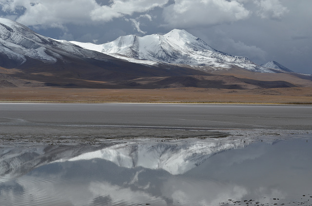 Bolivian Altiplano, Laguna Hedionda (4121m) and Massif of Cerro Cañapa (5882m)
