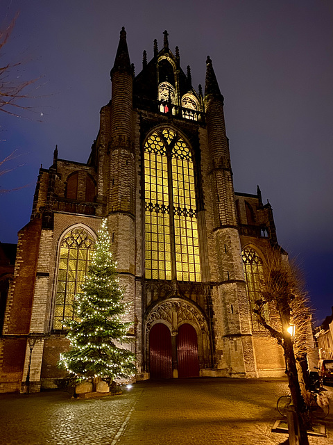 Christmas tree and the Hooglandse Kerk