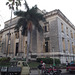Cocotier devant architecture cubaine