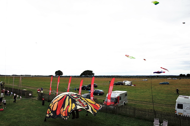 Beverley Kite Festival 2016 (485)