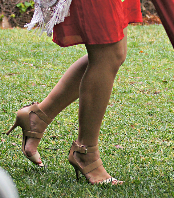 Tahari brown heels (F)