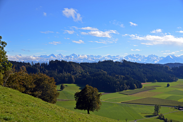 Die Schweizer Hochalpen gesehen aus der Berner Voralpen Region