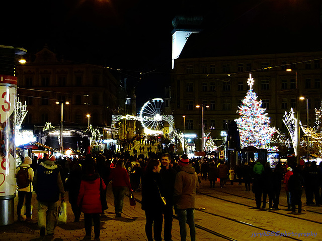 Christmas Tree - Náměstí Svobody 1