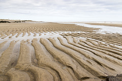 Spurn Neck sand ripples 1