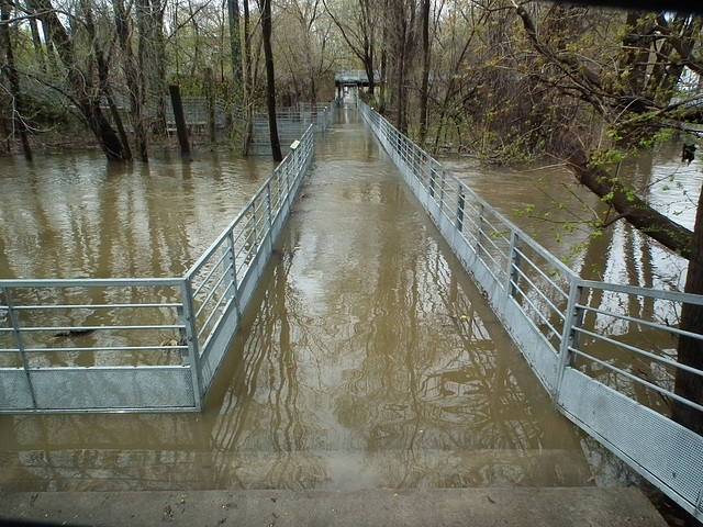 inondation / flooding