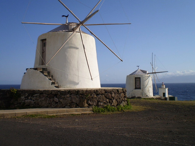 White windmills.