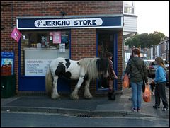 pony at the corner shop