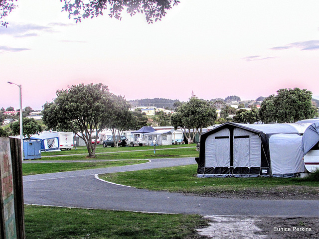Raglan Camping Grounds.