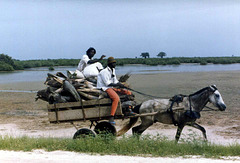 Gambia, 1986, digitalized