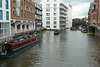 Kestrel On Regent's Canal