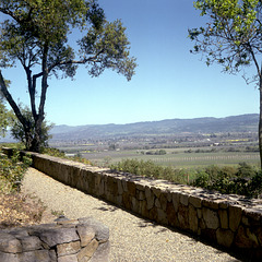 Terrace Vista