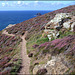 H. A. N. W. E.  everyone! Cornish coast path
