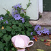 IMG 9695-001-Broken Pink Tea Cup