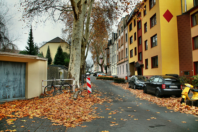 Rolandstraße (Bochum-Werne) / 20.11.2018