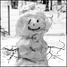 snowman, slowly melting... (pip)