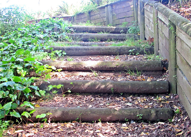 Steps From the Stream.