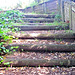 Steps From the Stream.