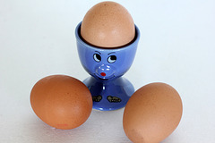 SHC43 Eggs