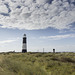 Spurn Warren view SW to lighthouses