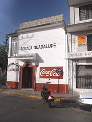 Coca-cola Guadalupe