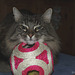 Milly on the ball (2010)