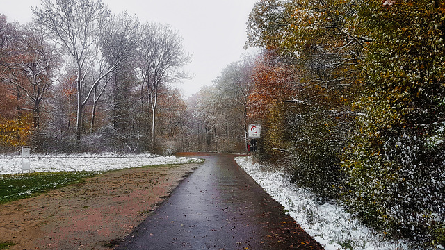 Winter trifft auf Herbst - Winter meets autumn
