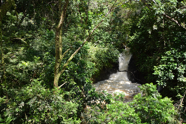 Venezuela, Puerto Ordaz, Small Waterfall in the Park of La Llovizna