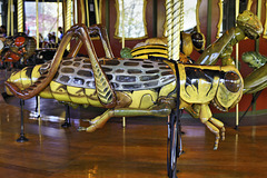 Grasshopper – Bug Carousel, Bronx Zoo, New York City, New York