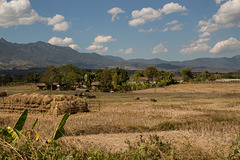 Farmland near Pai
