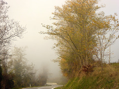 autunno in Langa