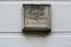 IMG 9727-001-Boris the Cat Lived Here