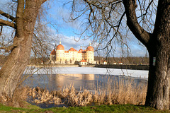 Schloss Moritzburg im Winter - kastelo Moritzburg vintre