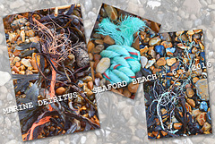 Marine detritritus - collage - Seaford beach - 6 1 2016