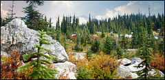 Mount Revelstoke, BC, Canada